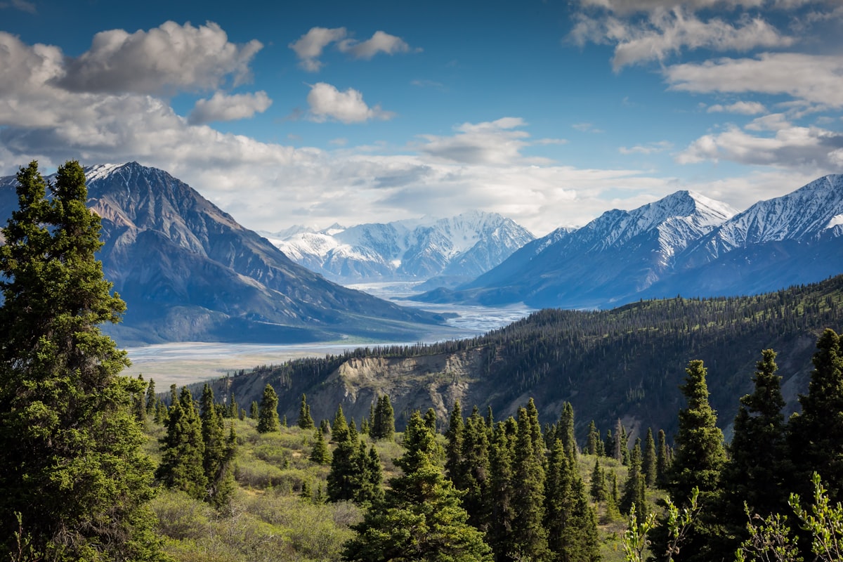 A view of snow-capped mountains beyond a forested valley.